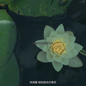 柔和的面部按摩时刻