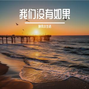 我只能离开你啊