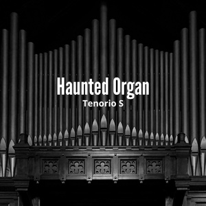 Haunted Organ