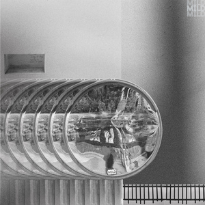 거울 숲 연못에서