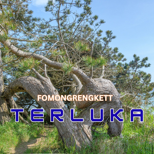 Terluka