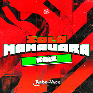 SOLO MANAUARA RAIZ