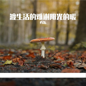 渡生活的难 谢阳光的暖