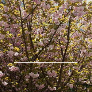 Crush （Live）