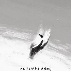 雨纷飞 (Dj青春动感版)