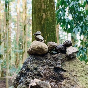 能不能不说一句话 demo