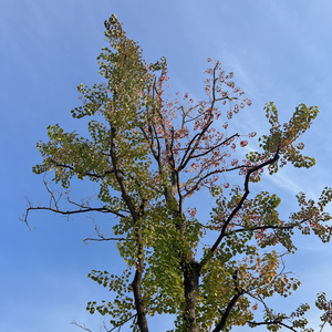 总有一天你会出现在我身边.wav