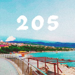 205