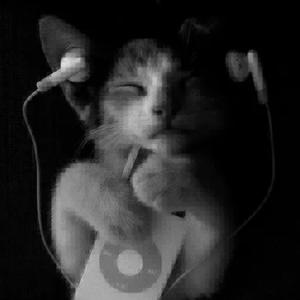 Hong Kong (feat. zen)