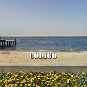 Codigo