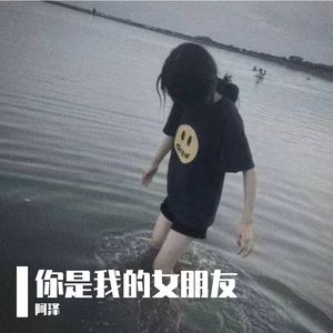 这首歌是我写给你的（翻自 莫凝|Remix）