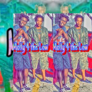 Molly 4 the Low