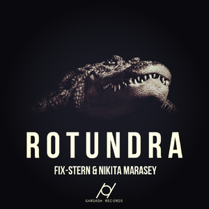 Rotundra (Original Mix)
