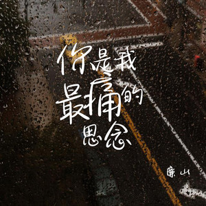 你是我最痛的思念