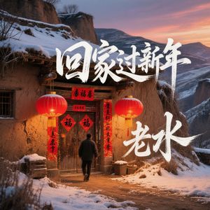 回家过新年