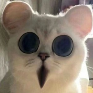 细雨蒙蒙江南水