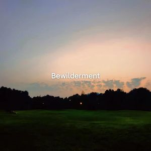 Intro：Bewilderment