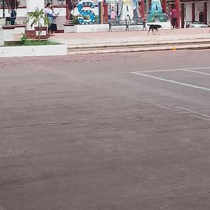 Chiapas, con el corazón en la mano