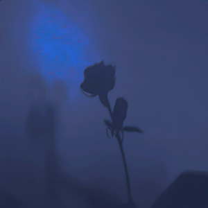 无厘头男友（prod by Matthew May）