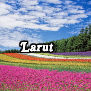 Larut