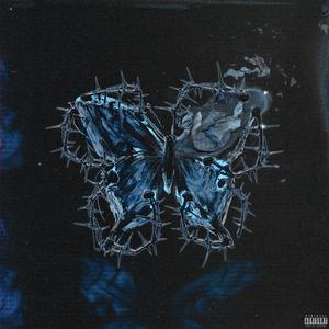 MARIPOSA AND THE BEAUTIFUL CHAOS