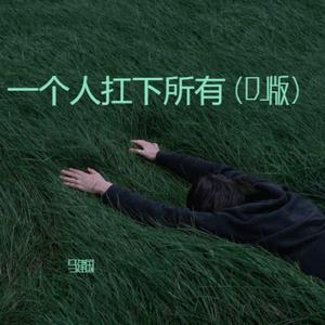 一个人扛下所有（DJ版）