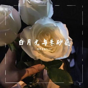 白月光与朱砂痣（电音版）