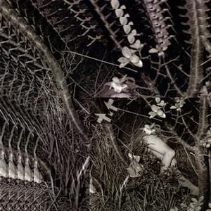 ▲ şĥΞļ†Ξя▲