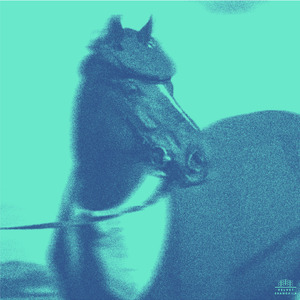 Pferd