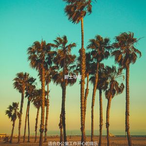 适合办公事务老的音乐