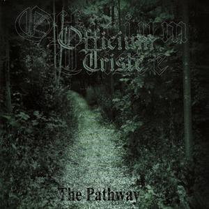 Pathway (Of Broken Glass)