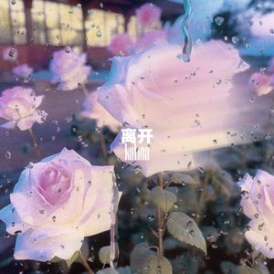 离开Katma