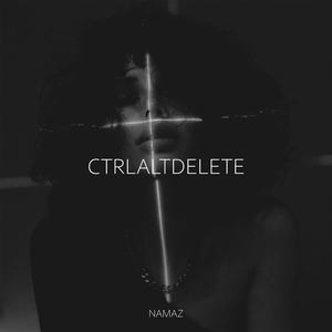 CtrlAltDelete
