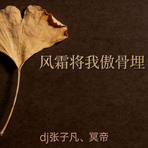 风霜将我傲骨埋