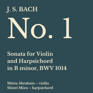 Sonata No. 1 for Violin and Harpsichord in B Minor, BWV 1014:II. Allegro