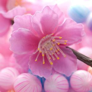 【FREE】CANDY | future beat