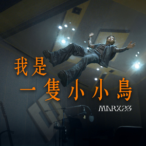 我是一只小小鸟104摇滚版