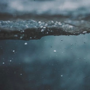 Blue-Gray