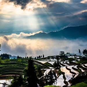 我看见光（Cover 吉冈亚衣加）