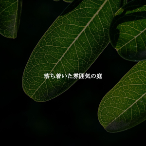 Hip New Year New You