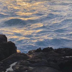 有没有人告诉你（cover陈楚生）