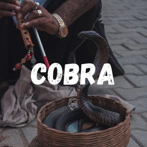 Cobra (Instrumental)