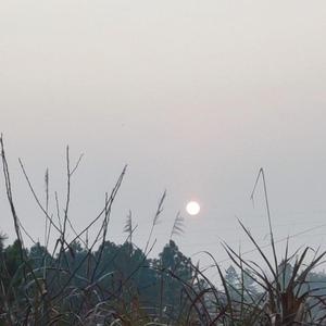 双笙（陈元汐）-女孩你为何踮脚尖（千叶归一 remix）