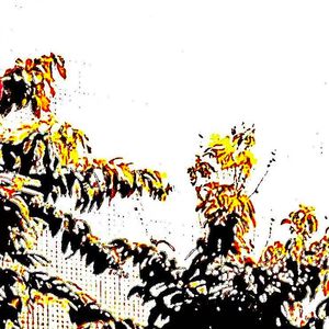 Legend（Prod By FireX）