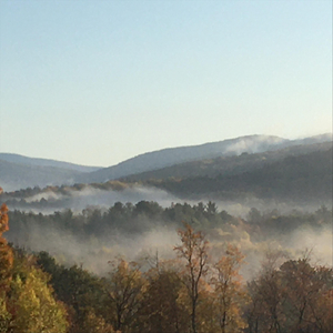 Klee's Machine (Live) [feat. Marshall Allen, Andrew White, Bob Butta, Harold Anderson & Luqman Ali]