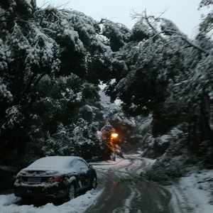 雪が融けたら春になる（化雪为春）