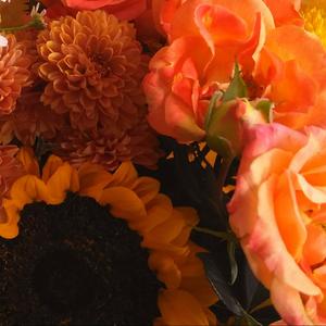 情书（Prod by MikeyBeats）