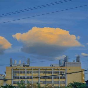 下雨声 (八音盒助眠)