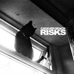 Risks