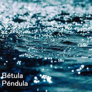 Que Me Pasará (Pedrín)